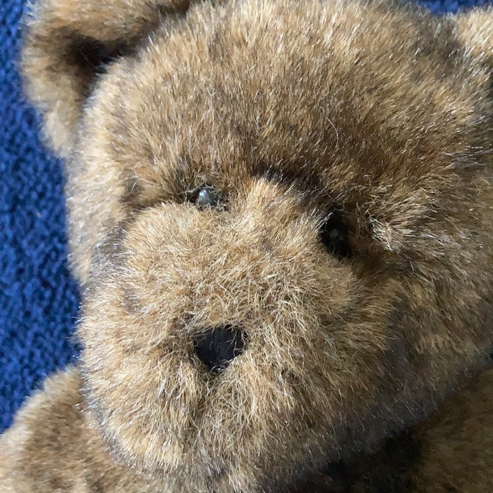 Boyds brown bear - Picture 5 of 5